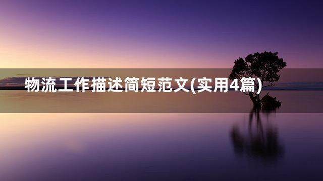 物流工作描述简短范文(实用4篇)